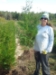 White cedar (Thuja occidentalis) (Arborvitae) - CWC1A-A61